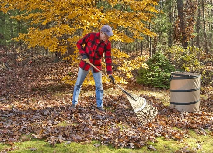 Fall Activities That Leaf You Suffering