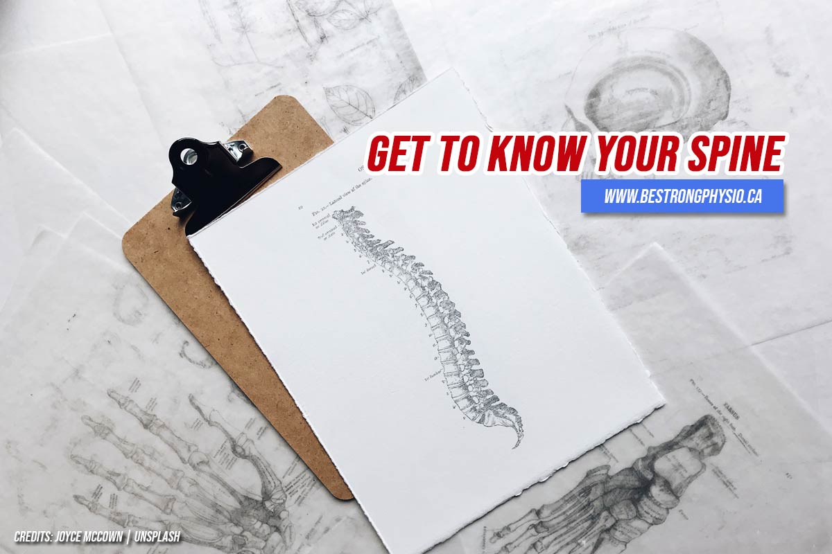 get to know your spine