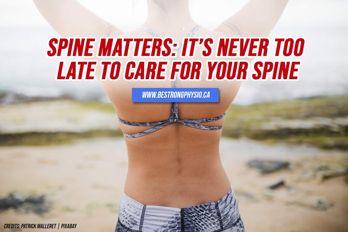 spine matters